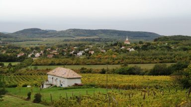 DSC05629 384x216
