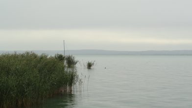 DSC05639 392x221